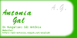 antonia gal business card